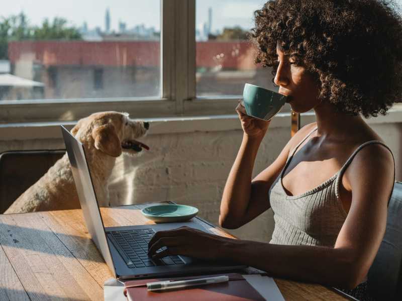 Laughing Collaboration Magic